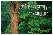 Экологическая акция "Сохраним наш лес"